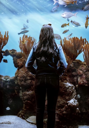 A person with long dark hair stands in front of a large aquarium, observing diverse fish swimming in an underwater scene filled with coral reefs. Sunlight filters through the water, creating a serene and magical atmosphere.