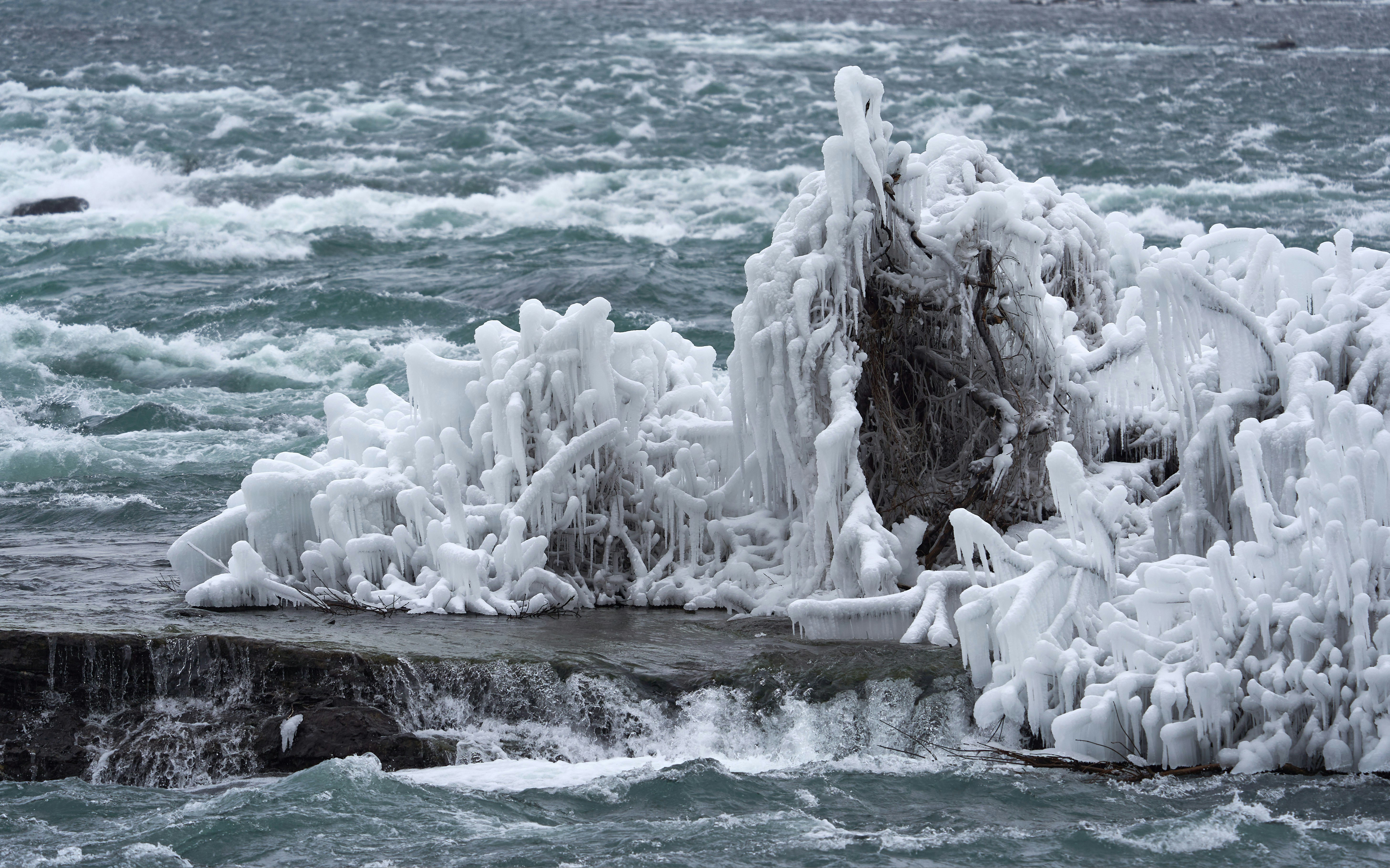 Photo by wolfgang_hasselmann