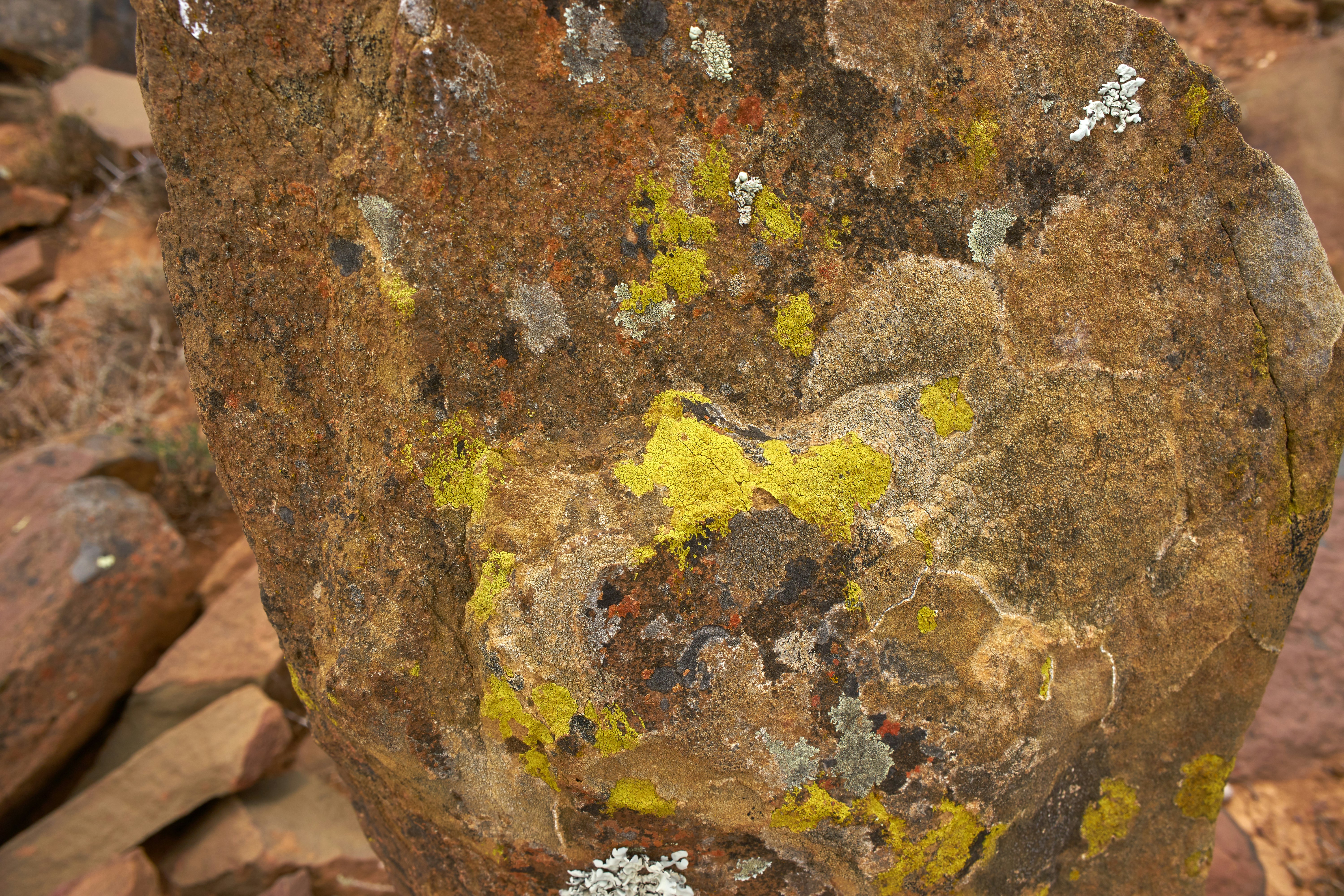 Photo by wolfgang_hasselmann