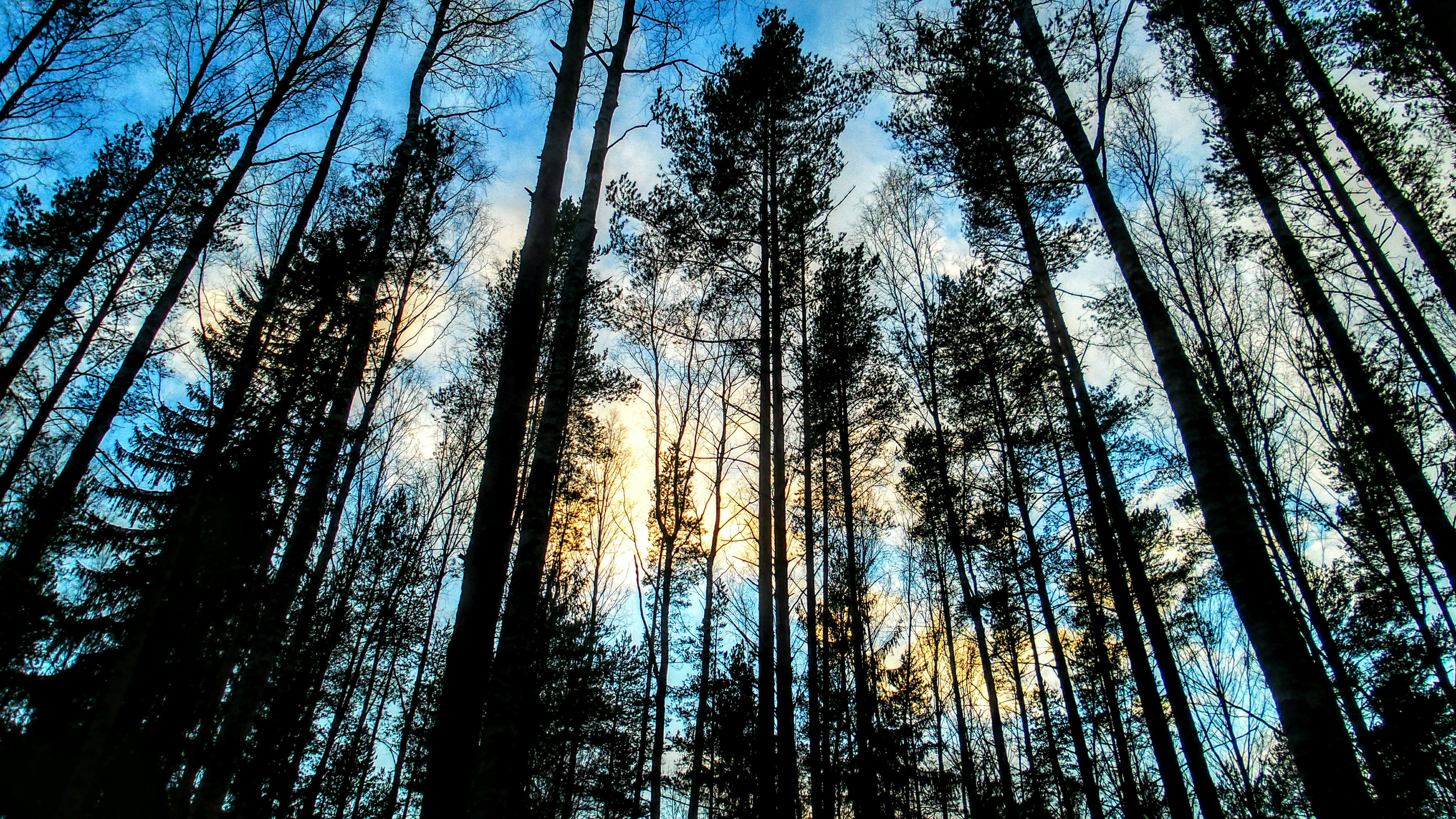 Photo by valentina_19