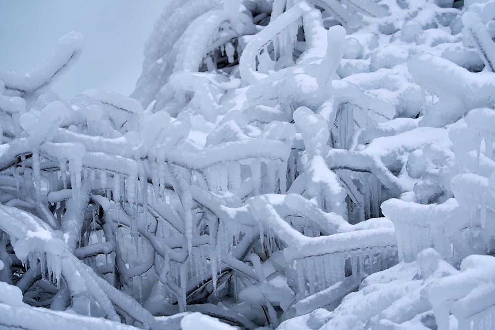 snow covered fence during daytime