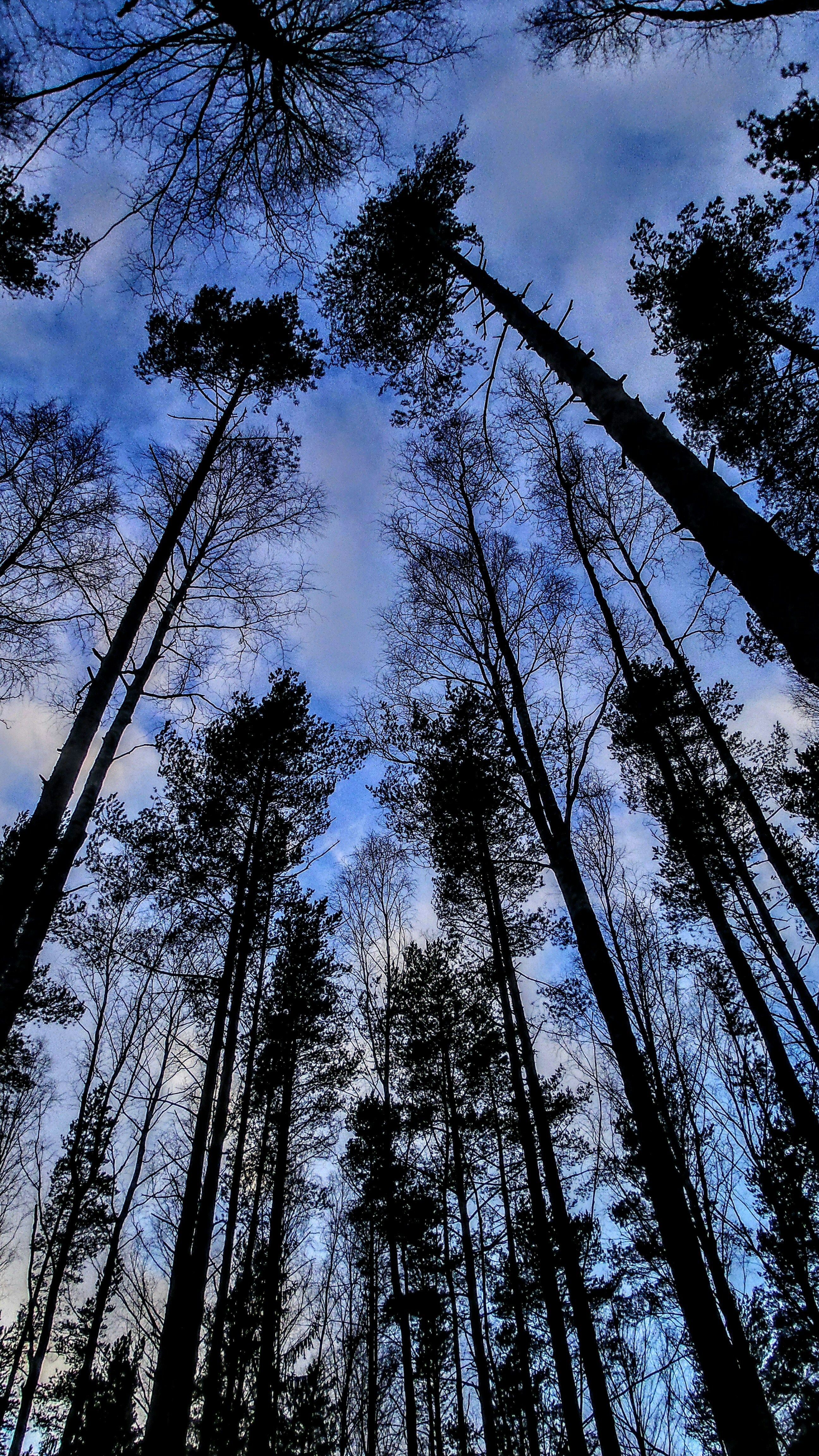 Photo by valentina_19