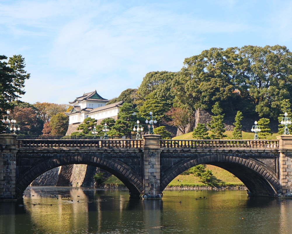 white concrete bridge over river