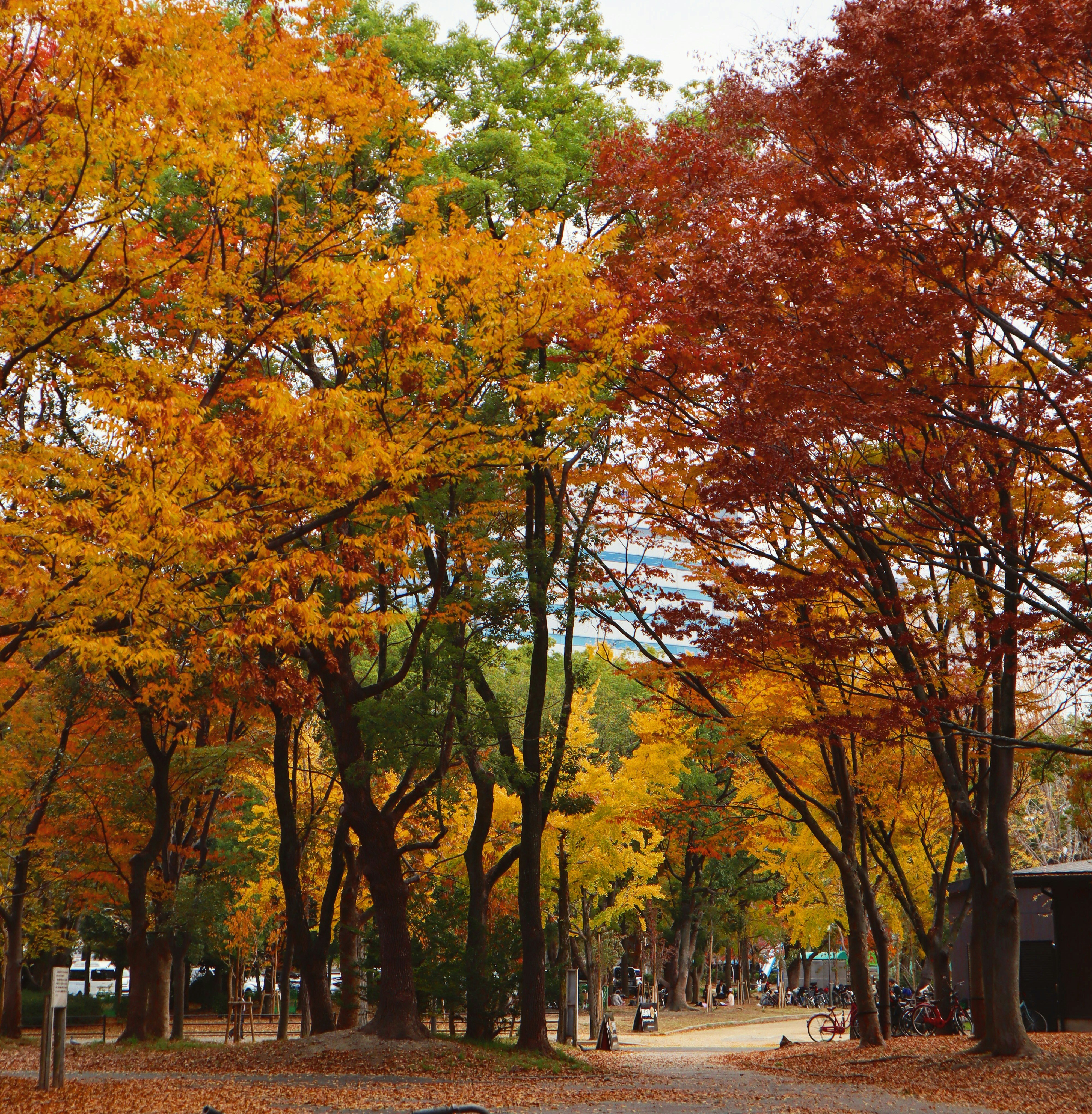 Photo by julzescapegoat