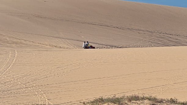 Close-up of rugged ATV tires leaving deep tracks in the warm beige sand of the Liwa Desert.