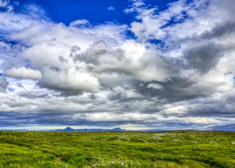 green grass field under white clouds and blue sky during daytime