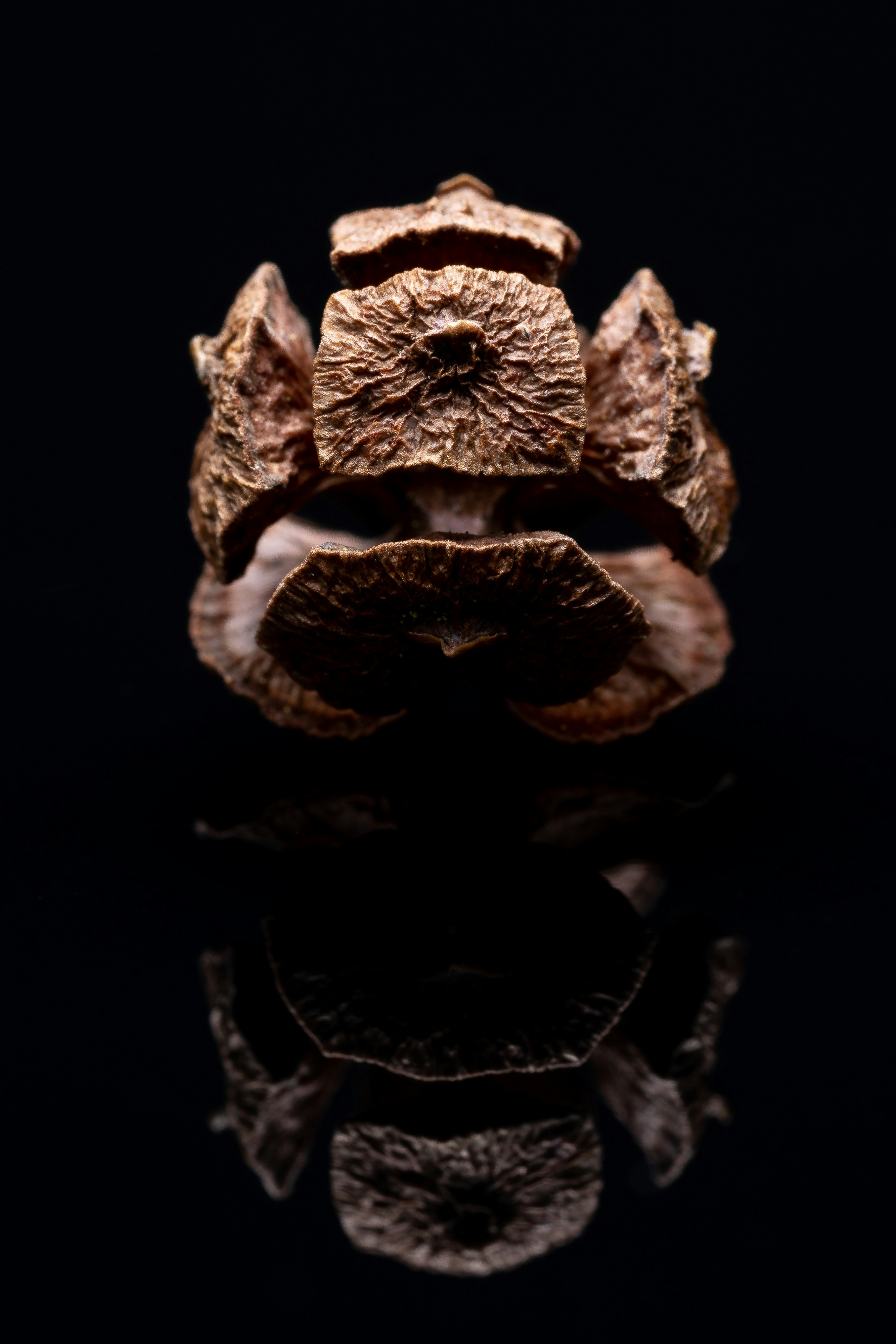 Photo by jarreddecker