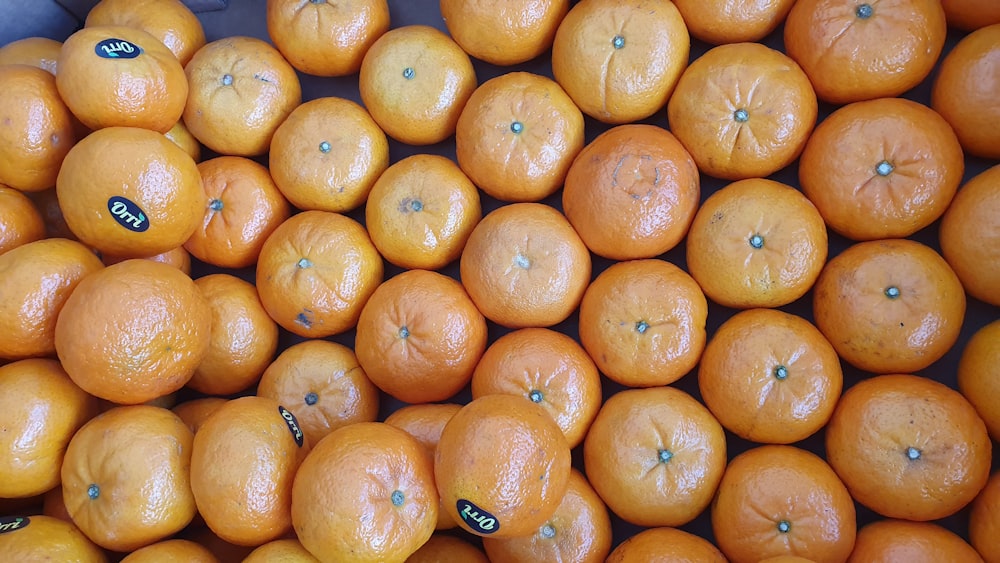 orange fruits on white ceramic plate