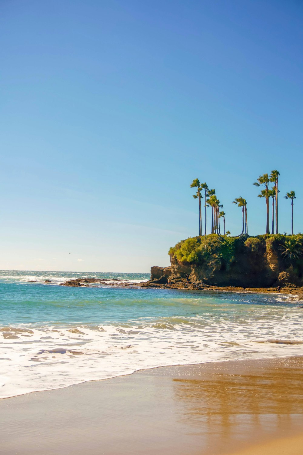 green palm trees on brown rock formation near sea during daytime