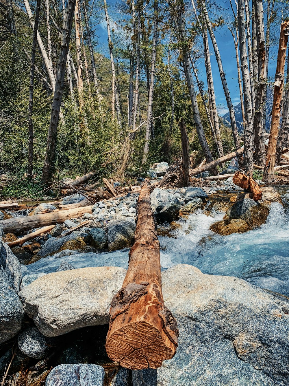 brown tree log on river