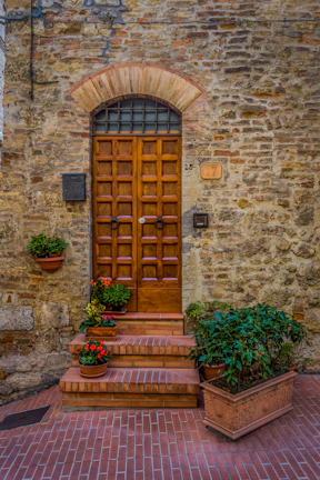 Charming rustic doorway framed by climbing ivy and warm terracotta walls.