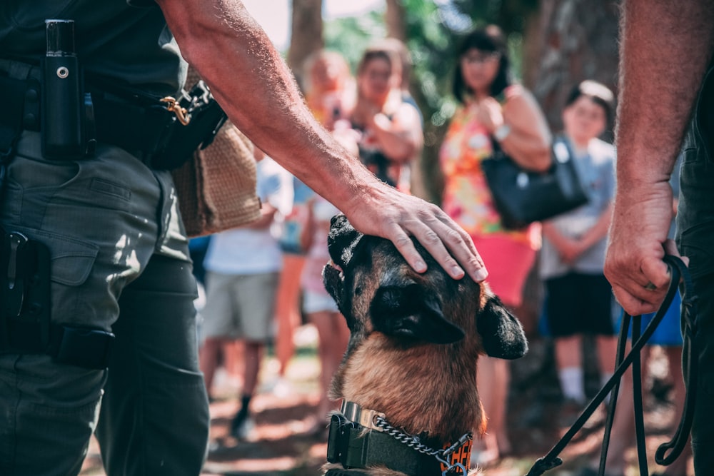 昼間、茶色と黒の短いコートの犬を抱く黒いTシャツの男