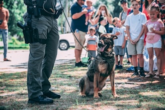 Training Demo with children