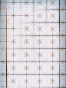 A symmetrical pattern with ornate, geometric designs featuring intricately detailed floral motifs spread across a grid-like layout. The motifs are enclosed within individual squares, with each square bordered by thin lines. The overall pattern has a classic and decorative aesthetic, reminiscent of an architectural ceiling or tiled surface.