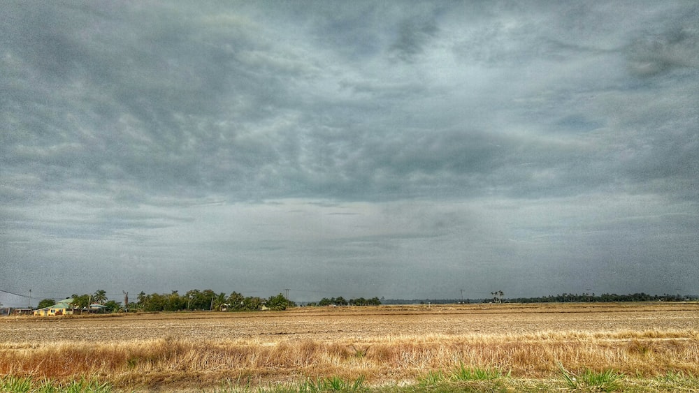 brown grass field under gray clouds