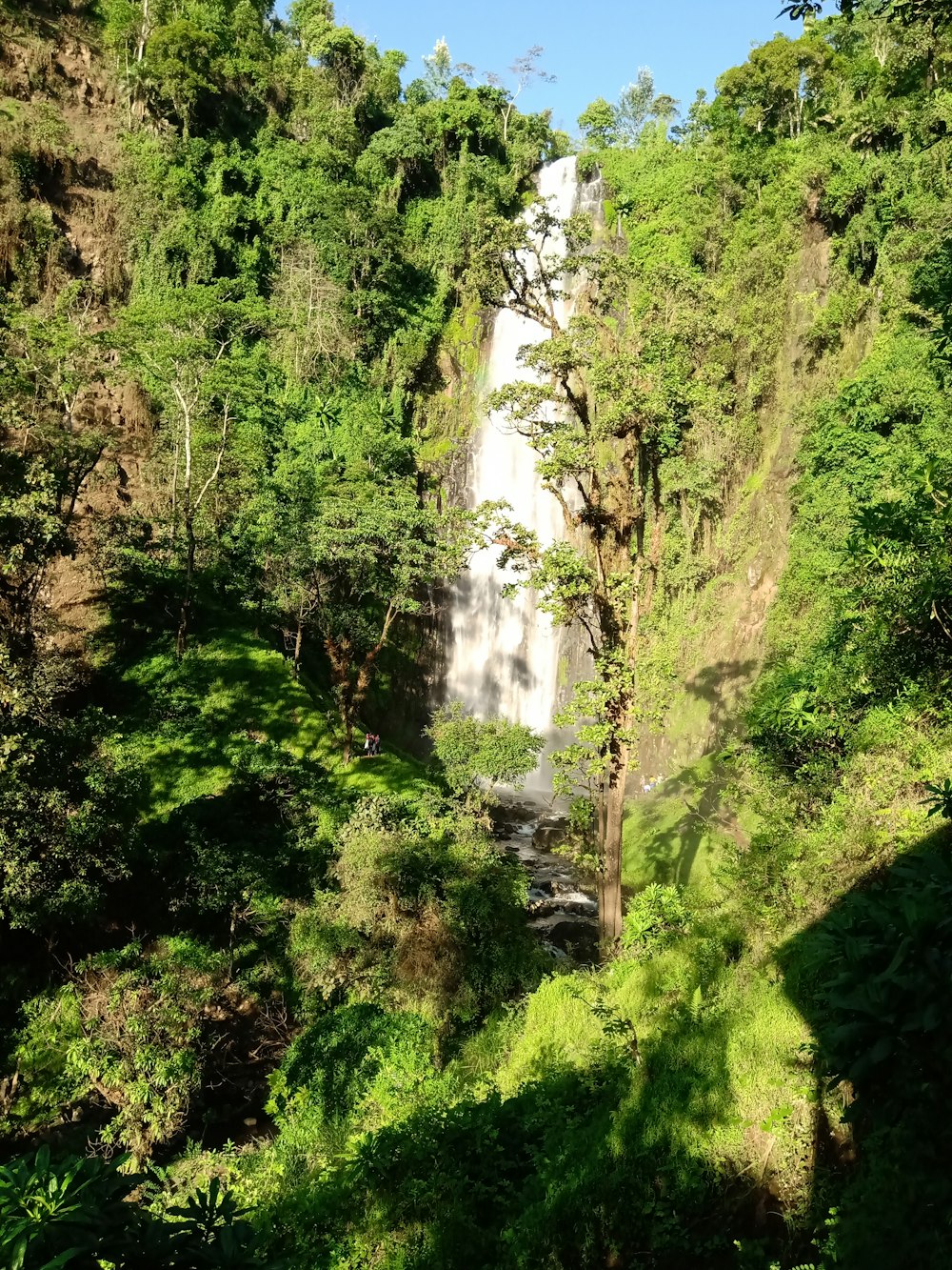 waterfalls in the middle of the forest