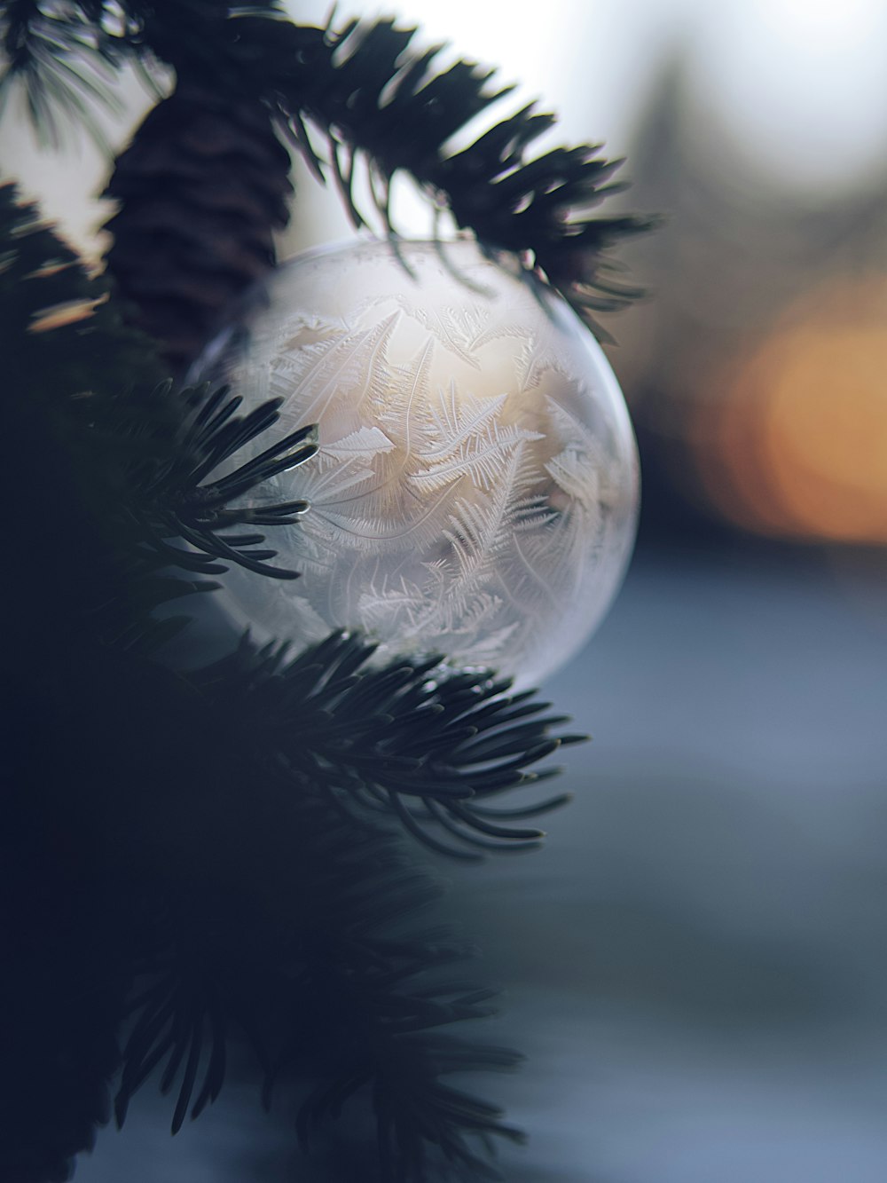 white and orange ball on tree branch