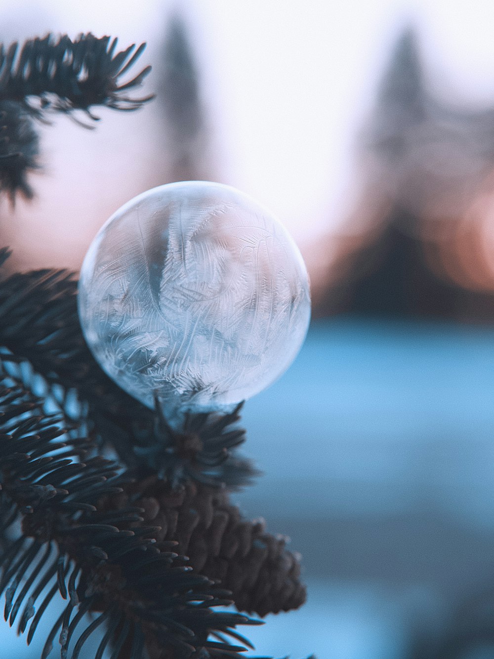 clear glass ball on green pine tree