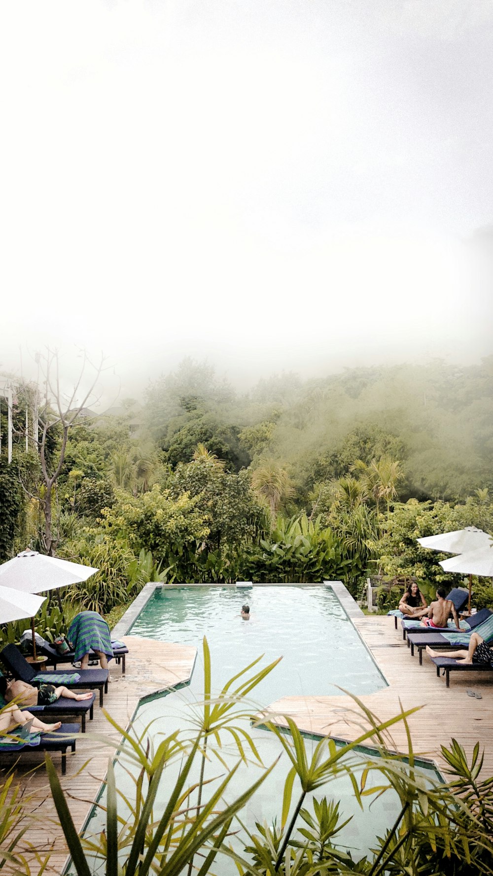 people sitting on chairs near green trees and mountain during daytime