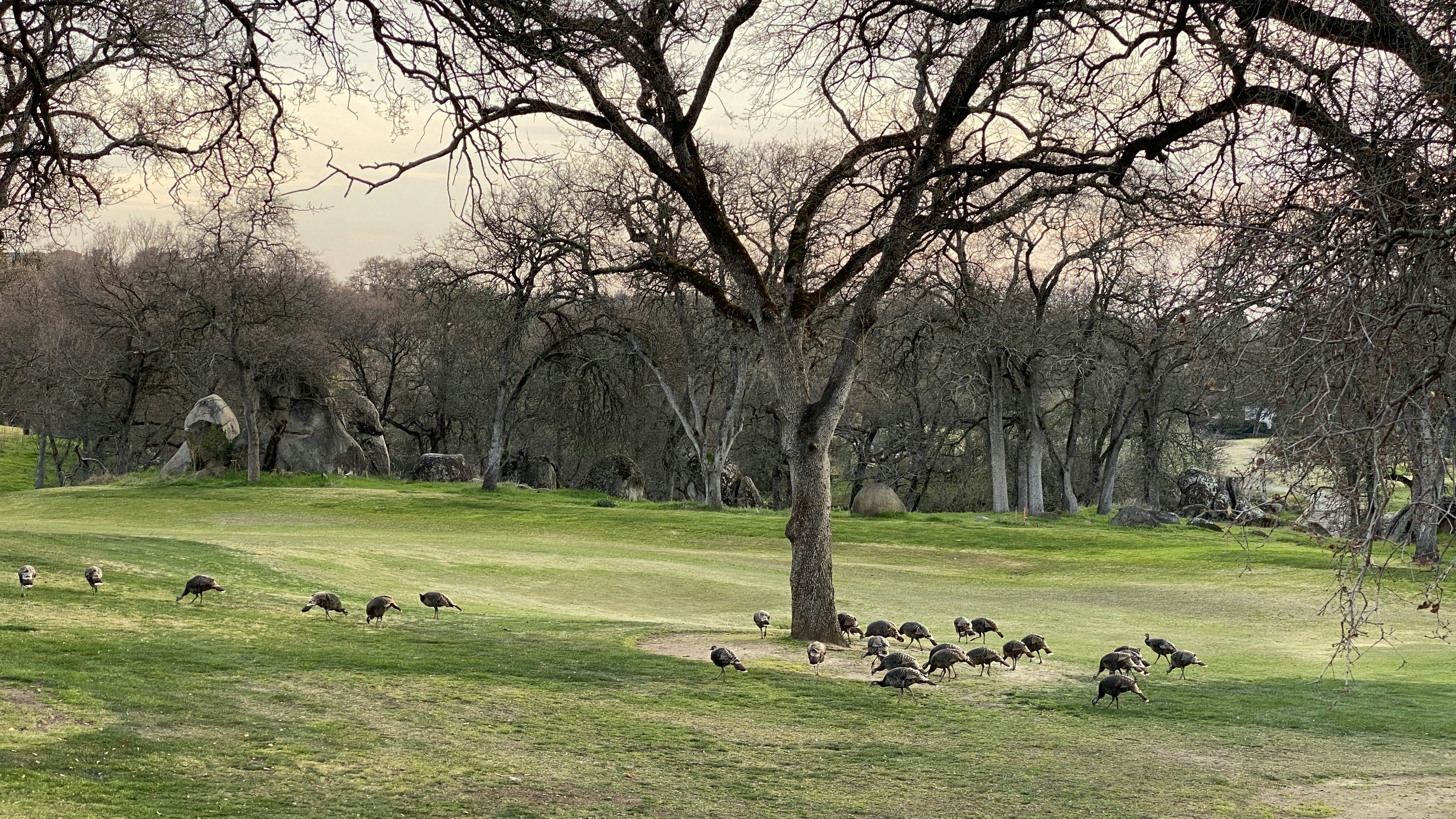 Prosperity Park