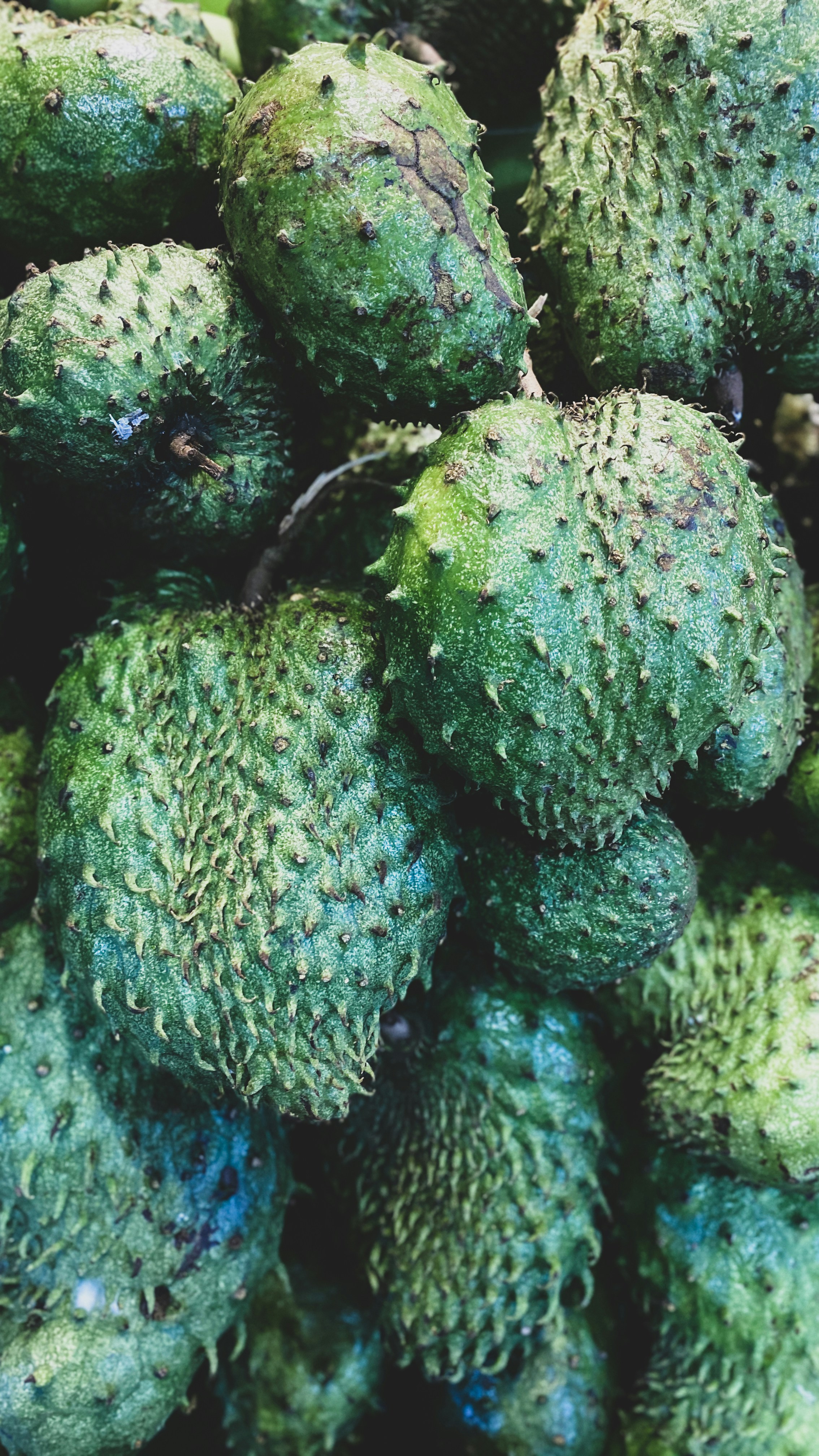 What is Guanabana in English?