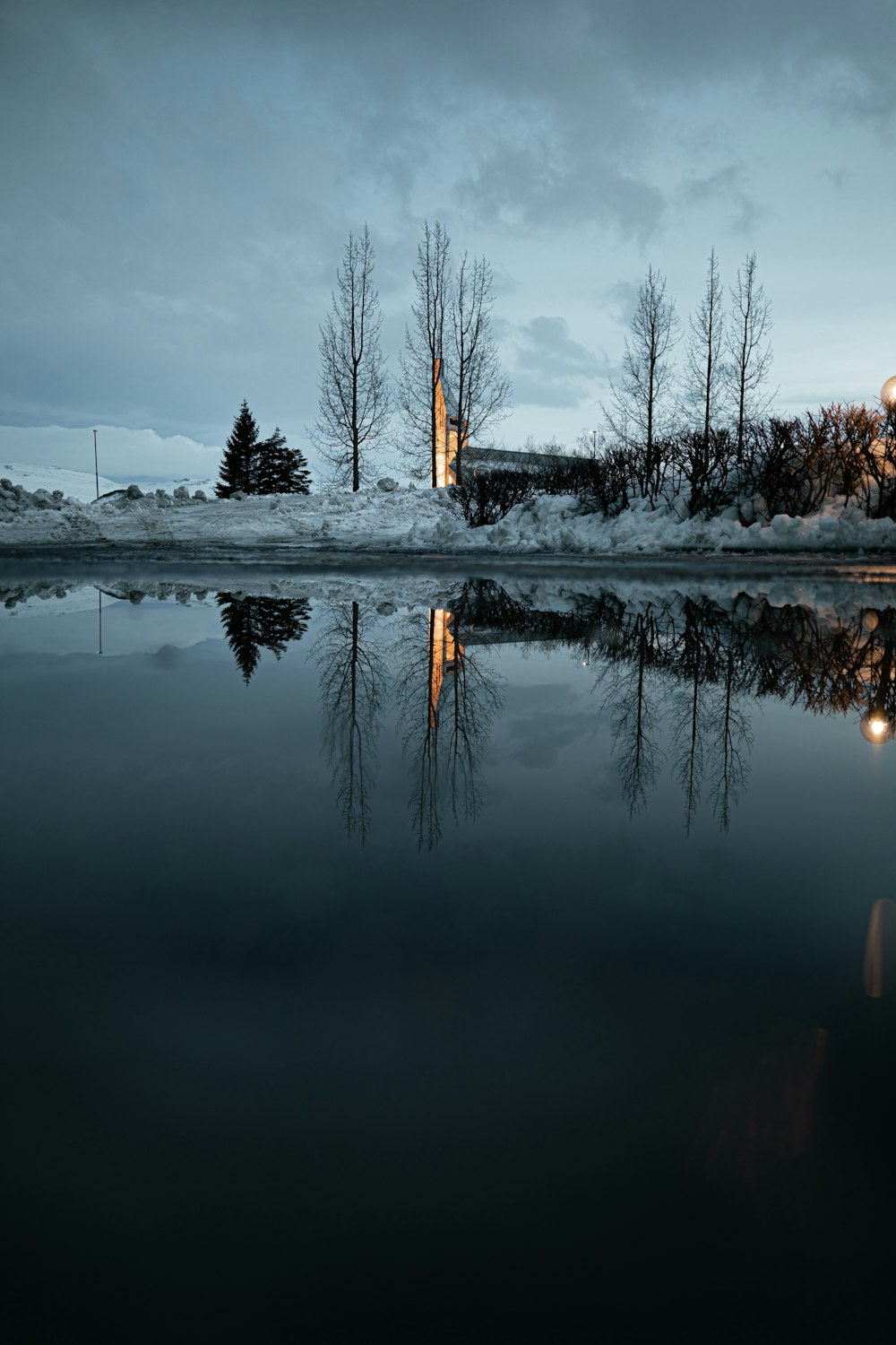 body of water near trees during daytime