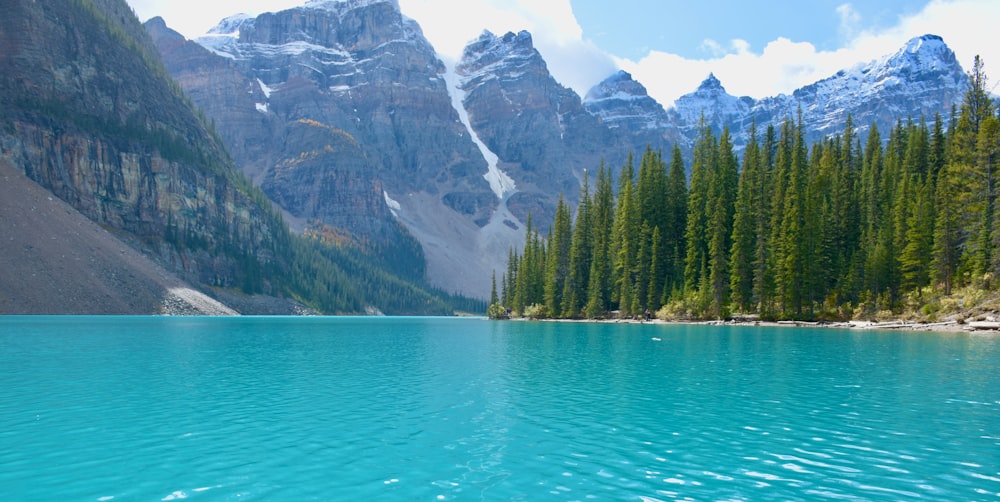 green pine trees beside blue lake