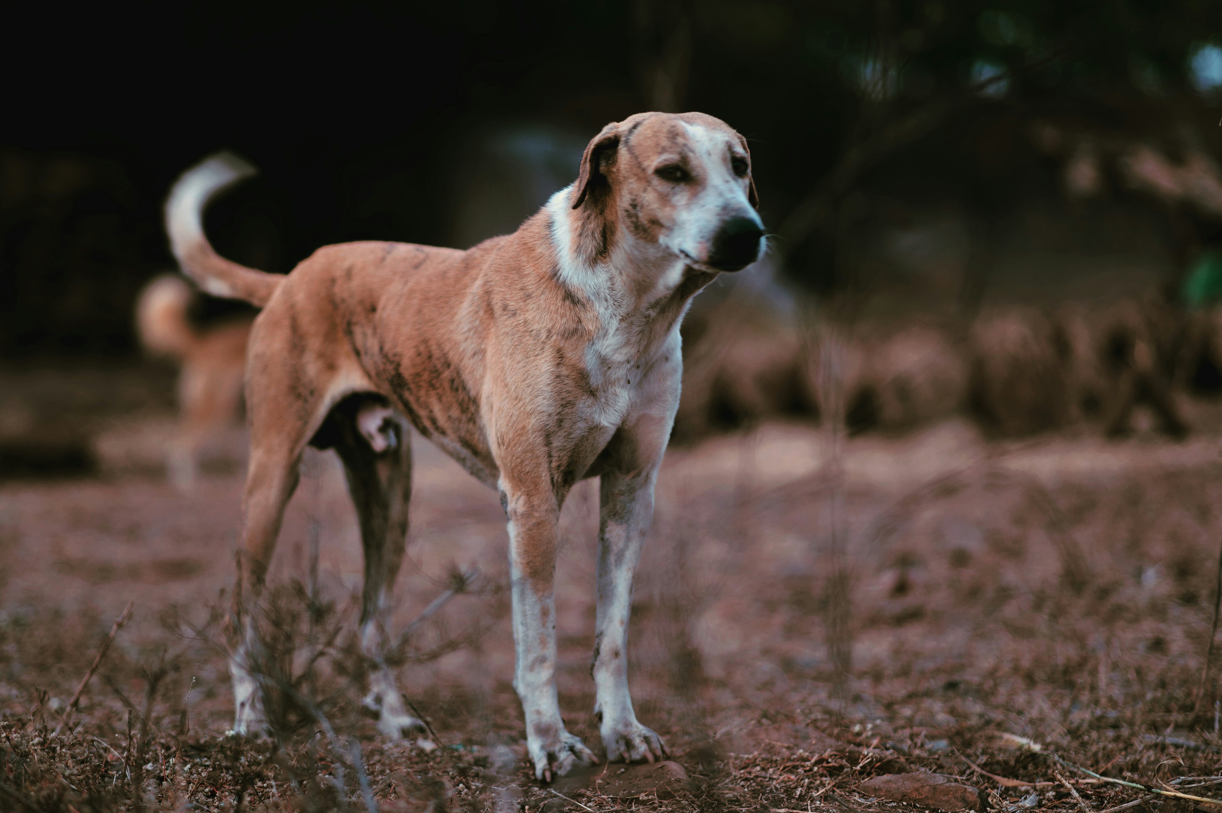 Photo by rrajputphotography