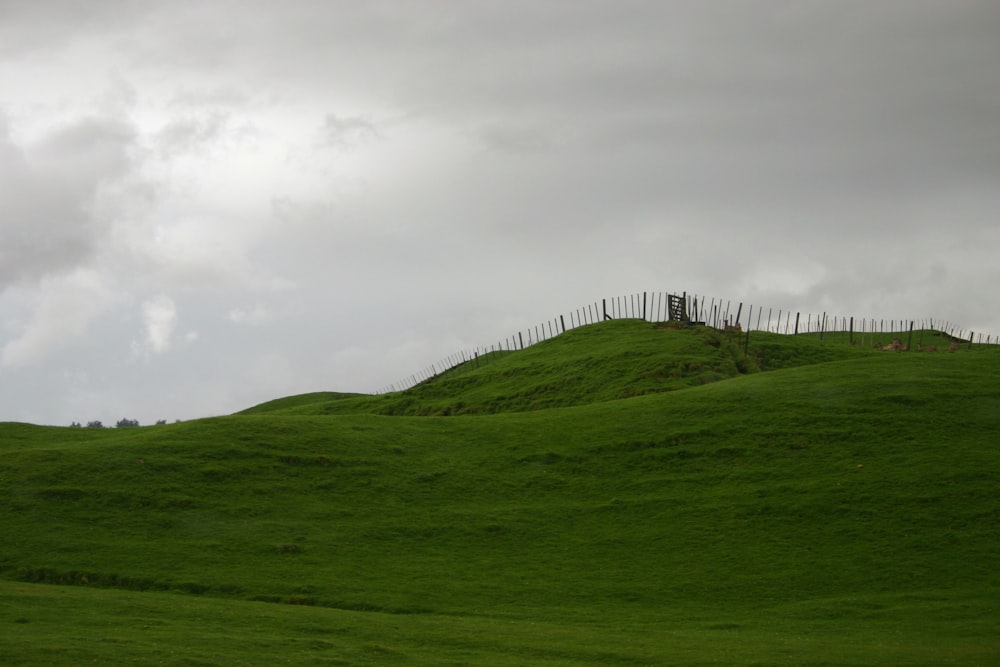 green grass field under cloudy sky during daytime