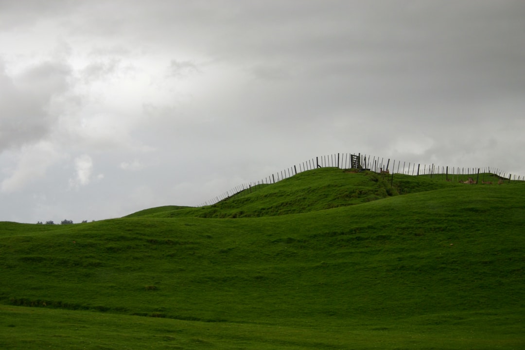 Hill photo spot Auckland Glen Massey