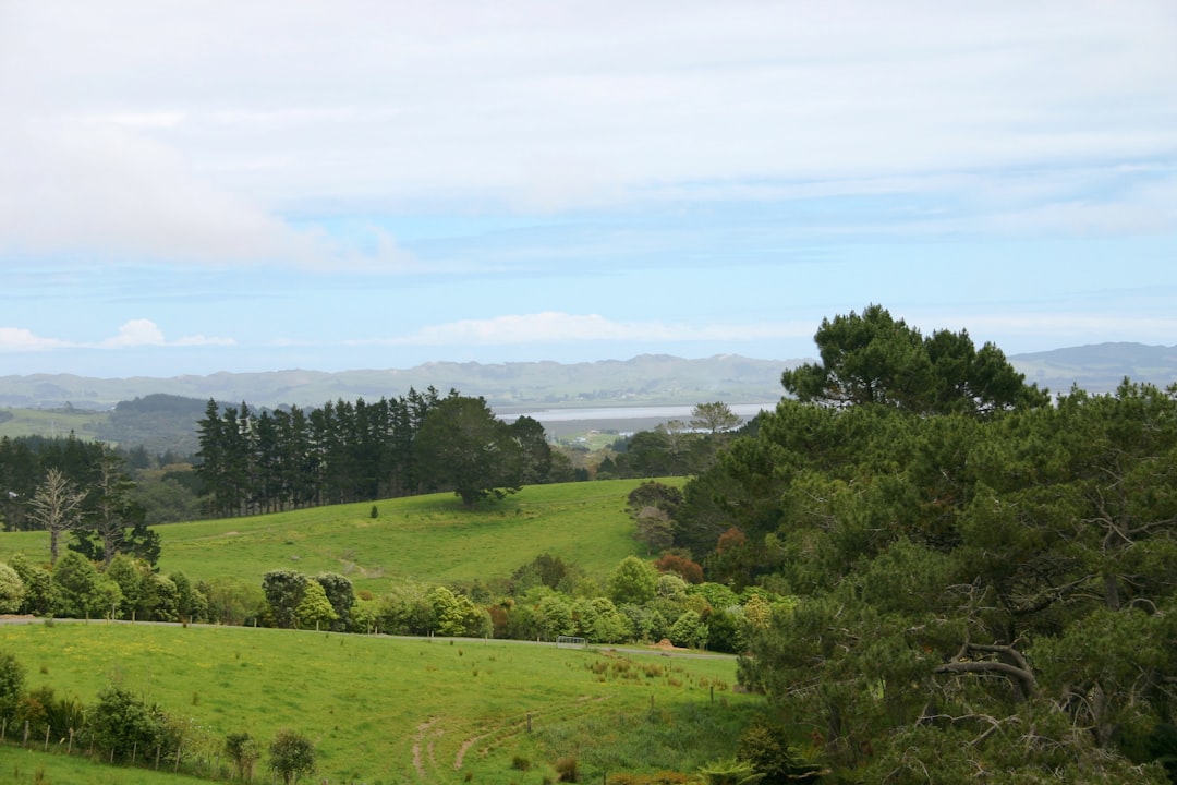 Hill photo spot Auckland Tawharanui Peninsula