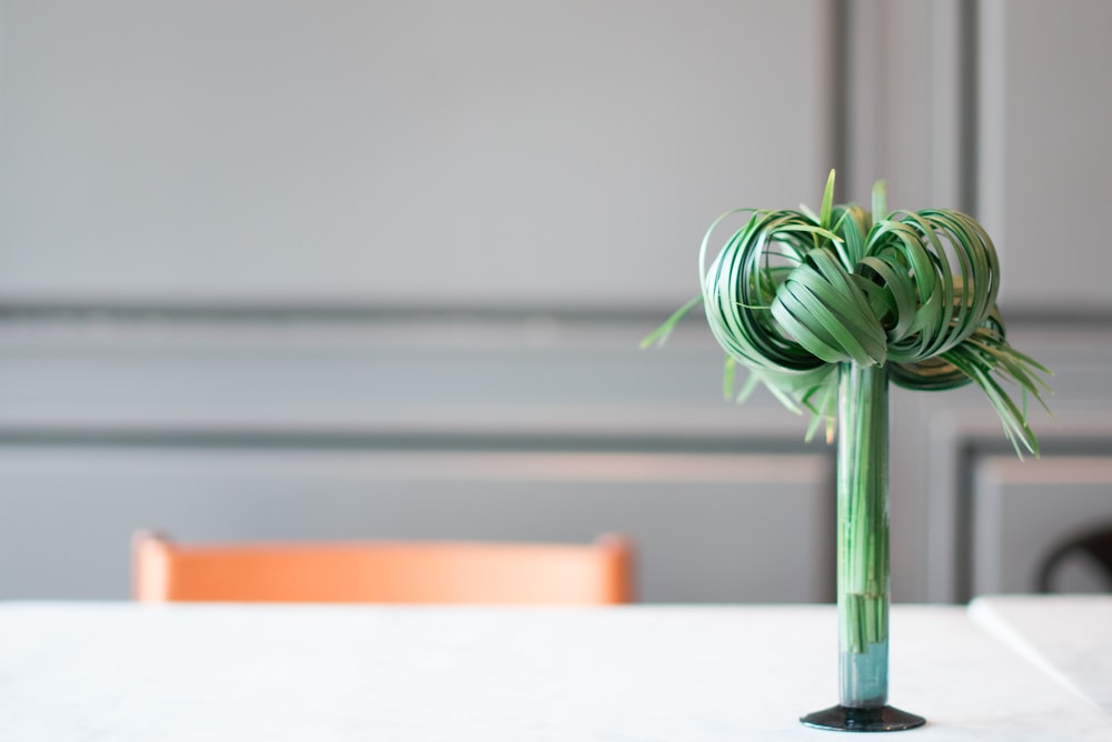 green plant on clear glass vase