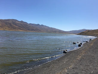 An image of a serene Great Lakes shoreline at sunrise, symbolizing steady guidance and clarity.