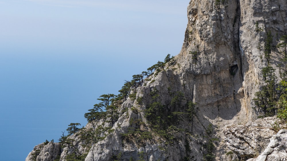 árvores verdes na montanha rochosa sob o céu azul durante o dia