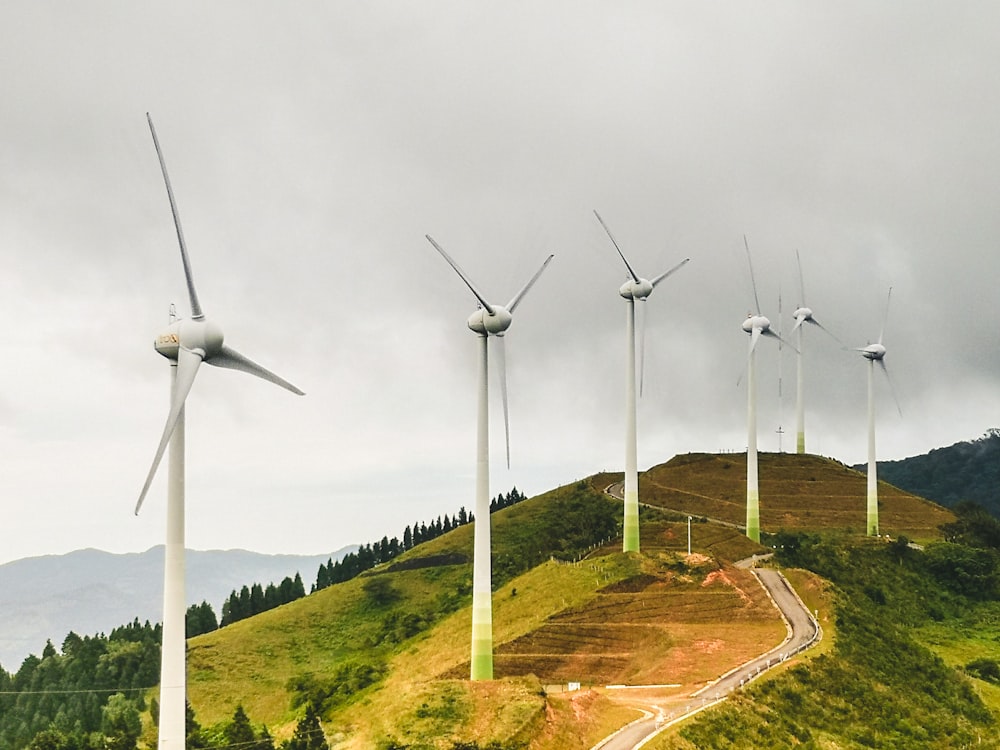 a group of wind turbines on a hill