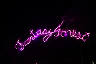 Brightly illuminated pink neon lights spell out 'Fantasy Forest' against a dark background, creating a whimsical and inviting atmosphere.
