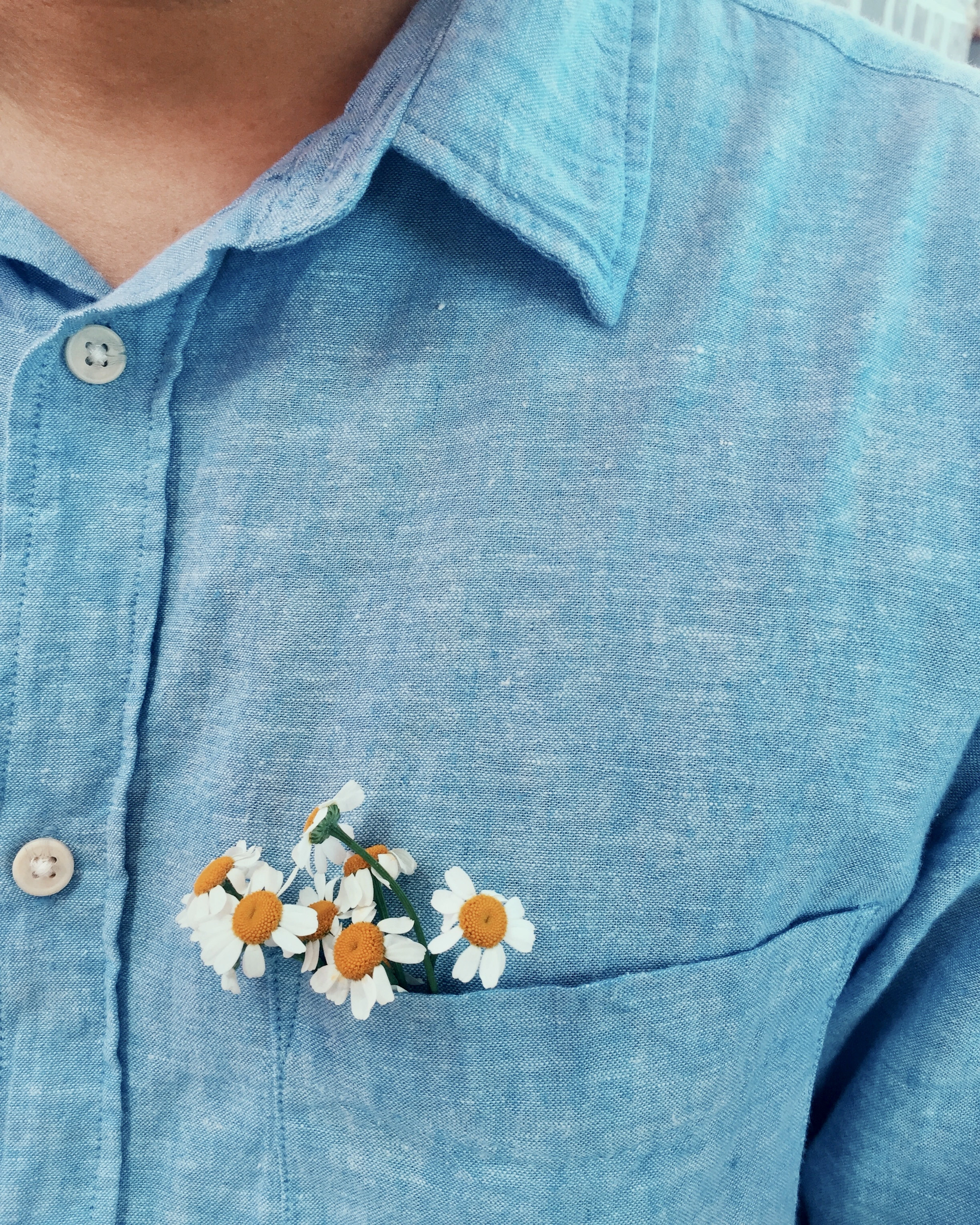 Camisa chambray bordada