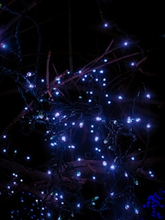 purple and white string lights