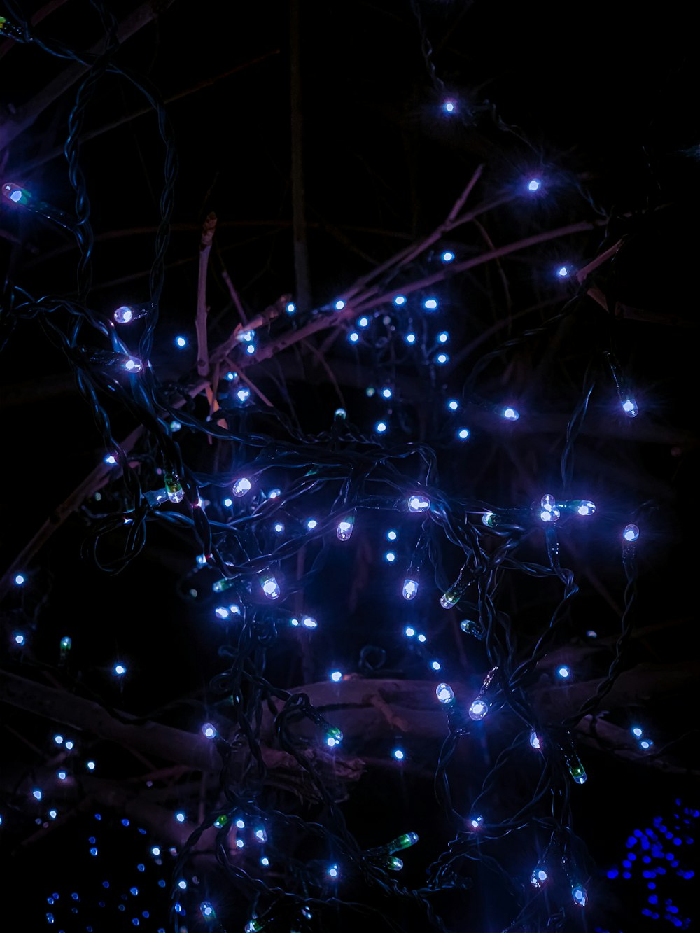 Blue fairy lights..  Blue aesthetic dark, Light blue aesthetic