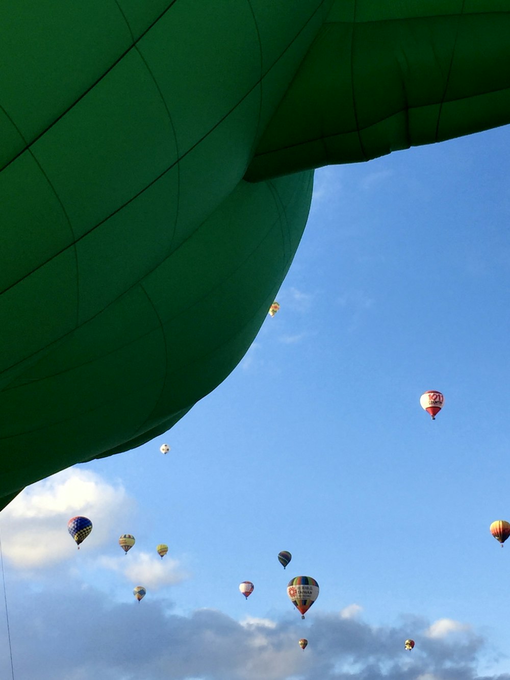 hot air balloons in the sky