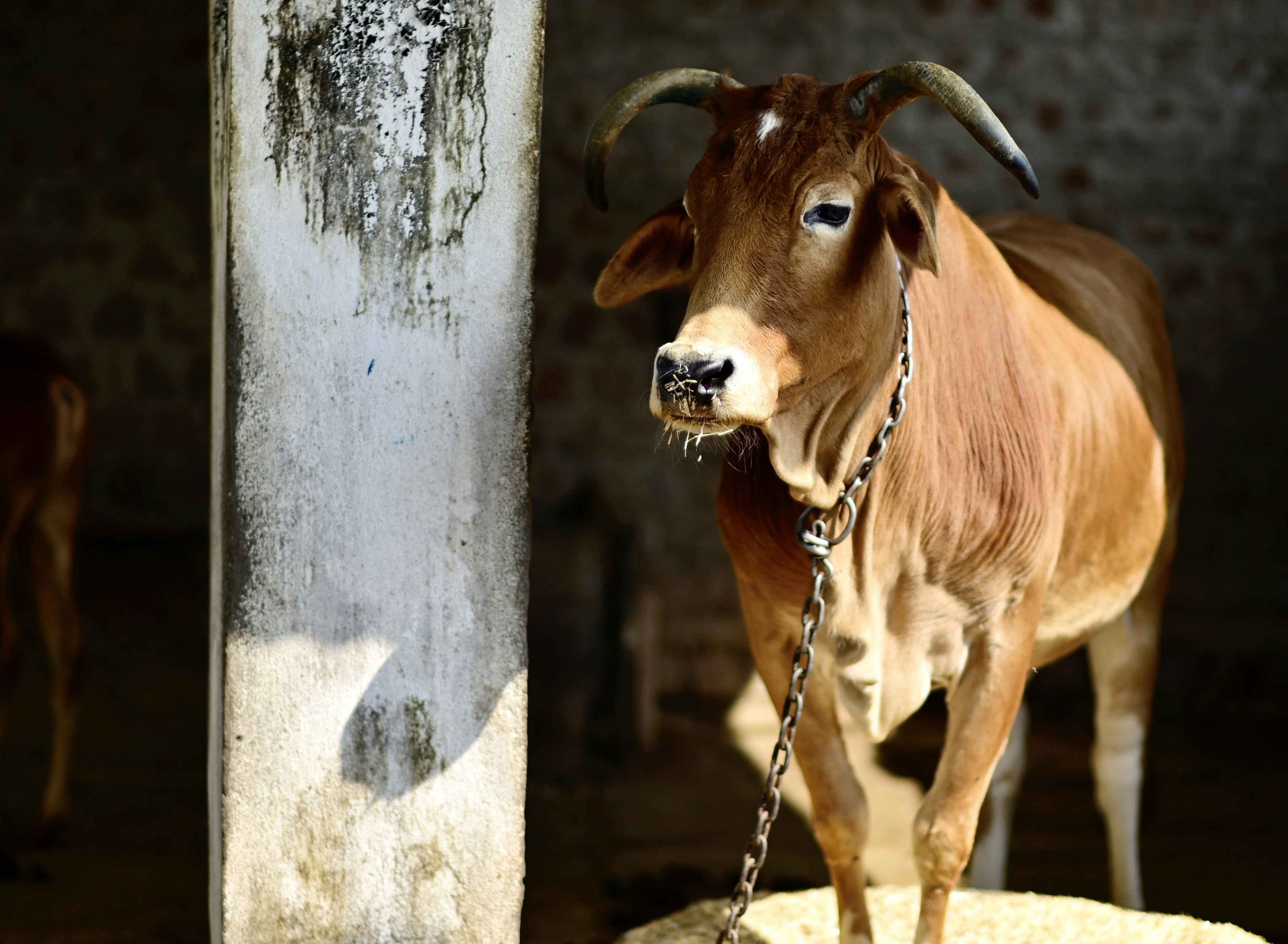 Photo by rrajputphotography