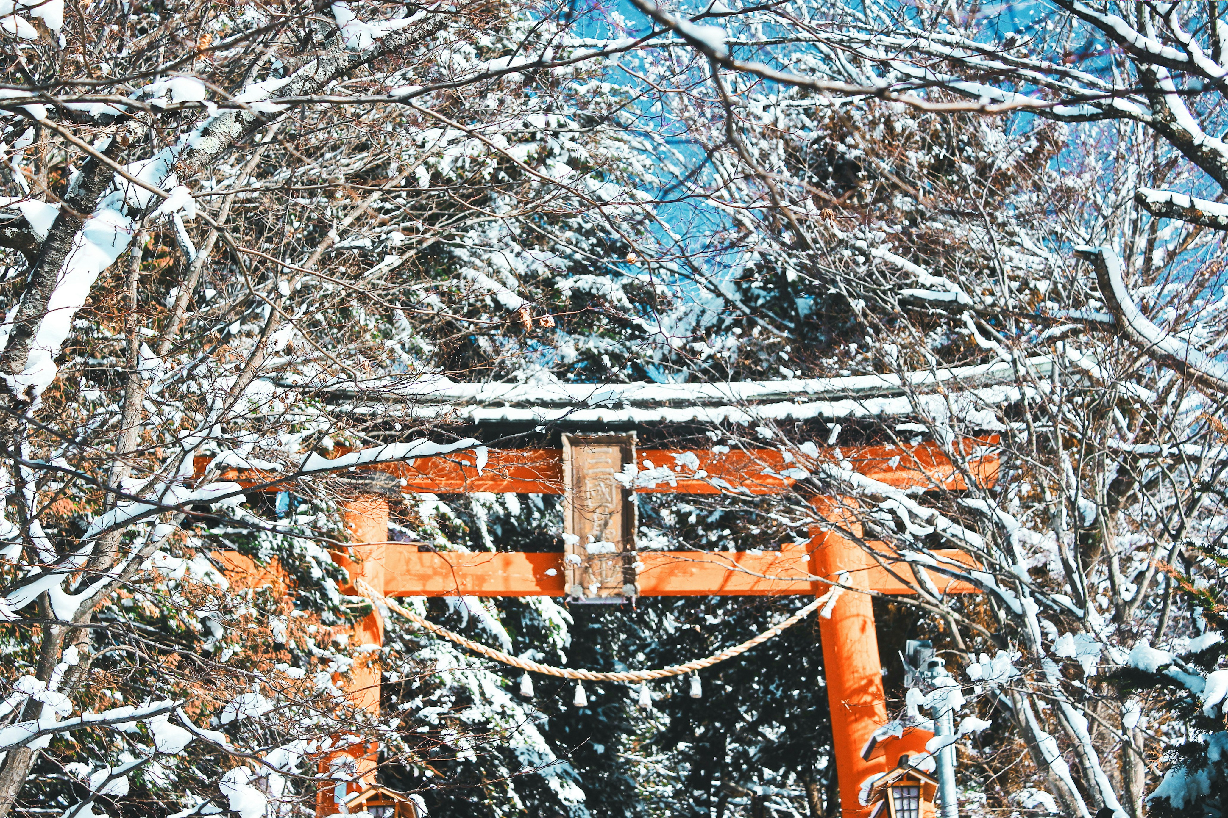 Tanigawadake Ropeway winter scenic view