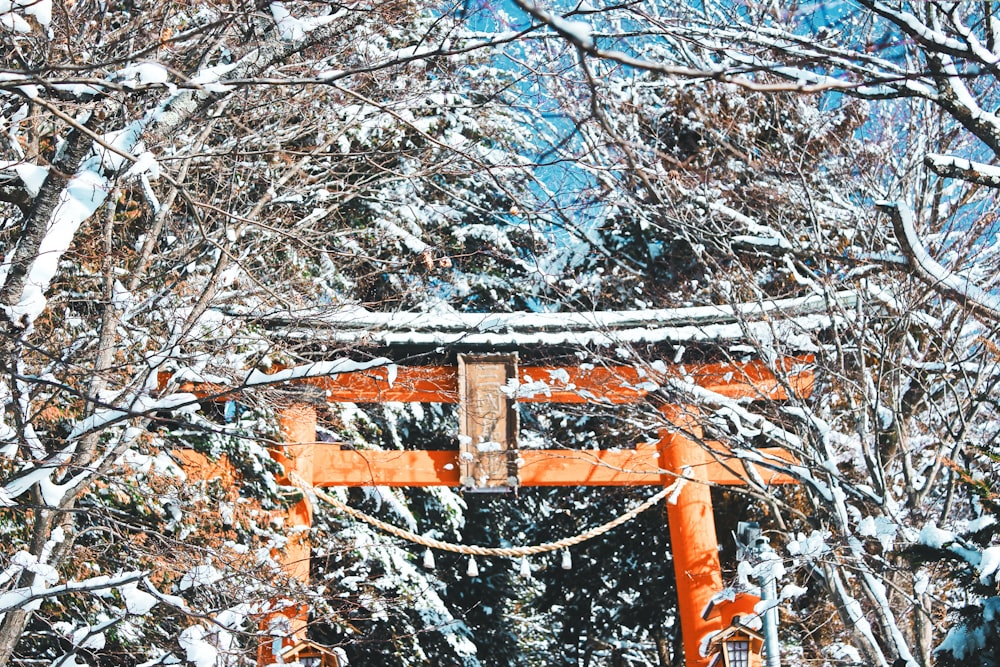 brown wooden ladder near white trees