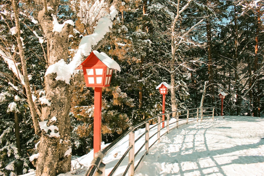 red and white wooden post on snow covered ground