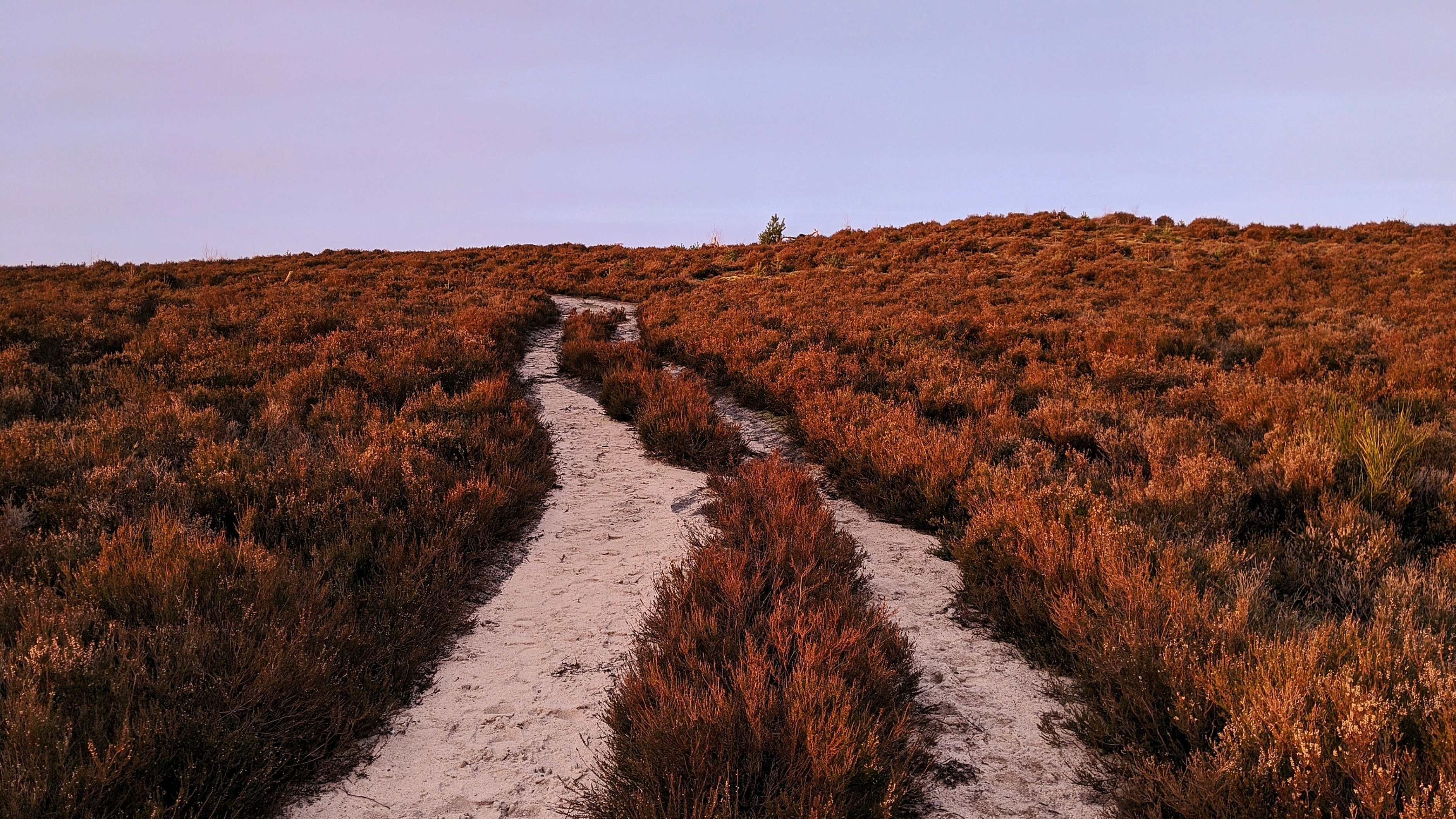 Photo by hannahwrightdesigner