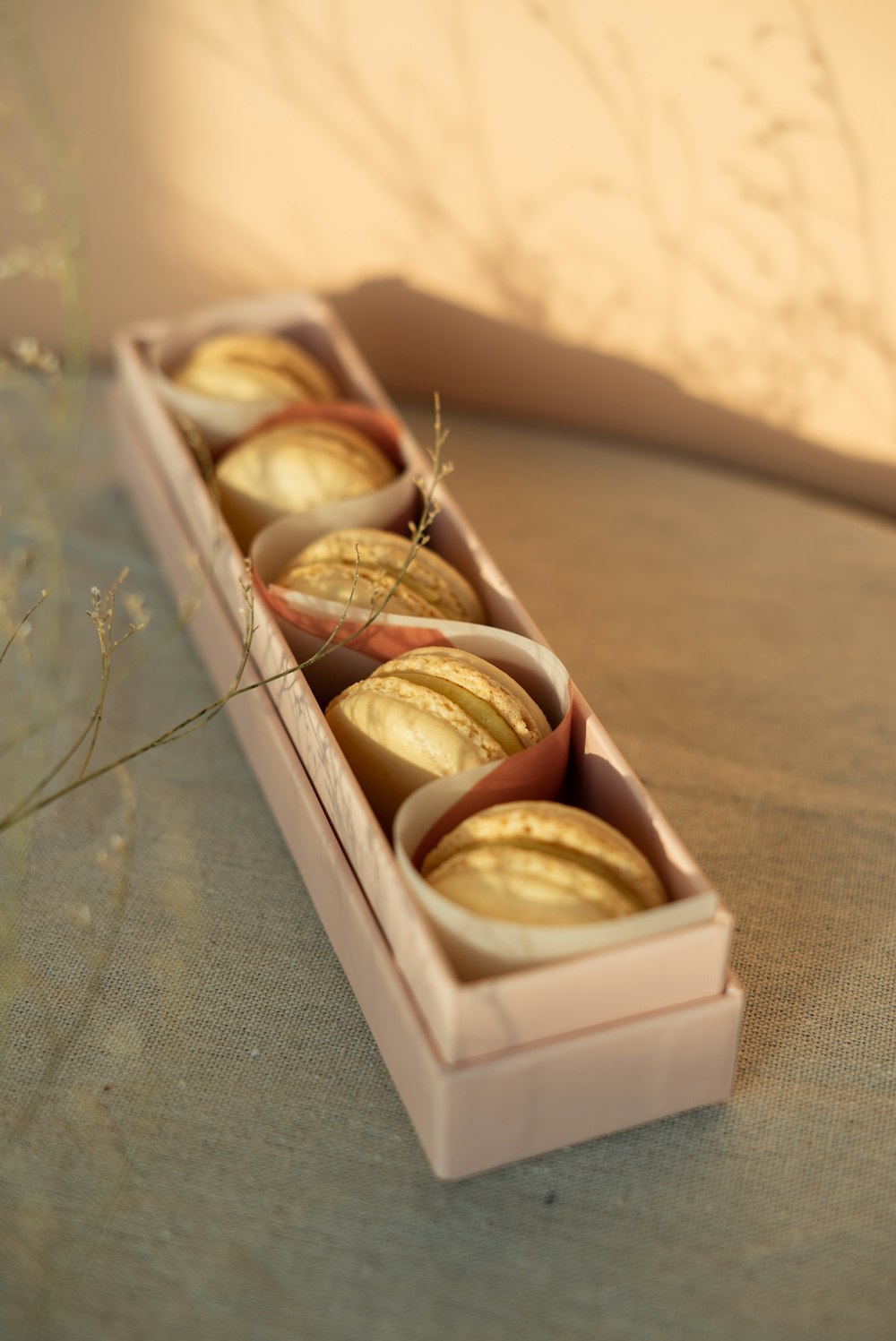 brown and white round pastries in white box