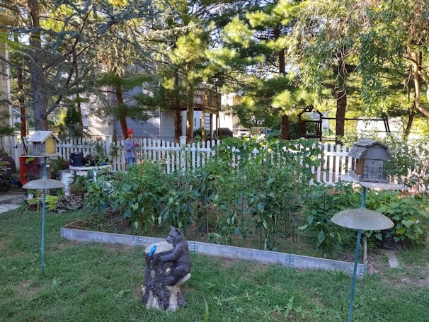A garden area with a variety of green plants growing within a fenced area. A white picket fence surrounds the garden, and a stone sculpture of a bear sitting on a stump is in the foreground. There are several birdhouses and feeders distributed around the garden. Mature trees provide ample shade around the area, casting patterns of light and shadow over the garden.