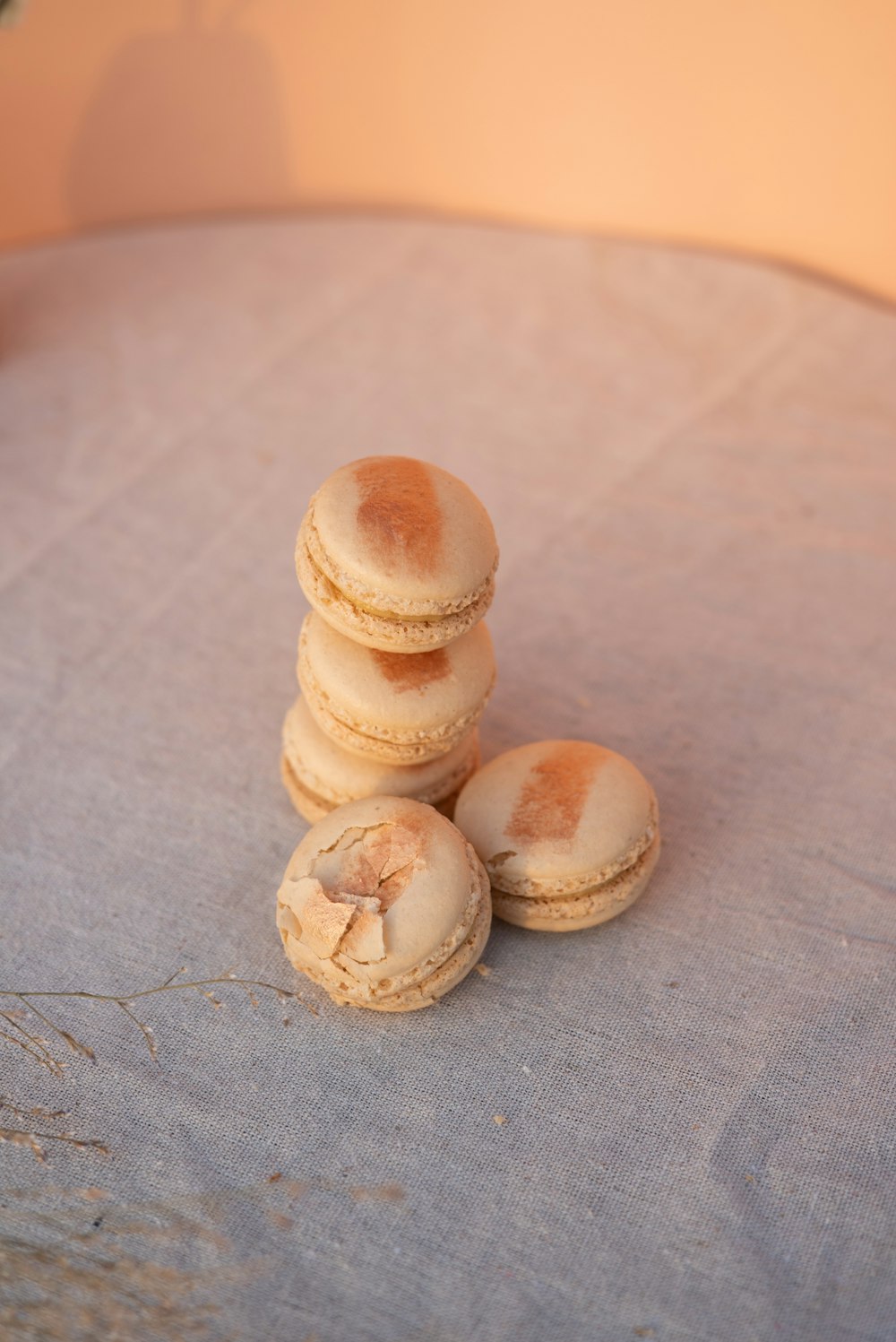 brown and white cookies on gray textile