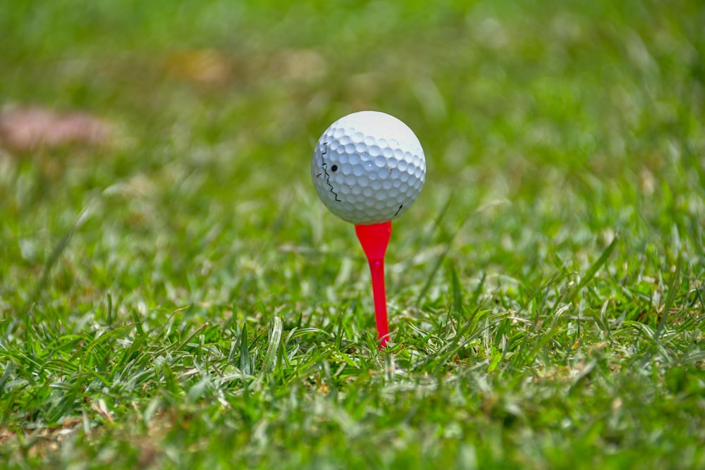 white golf ball on red golf club