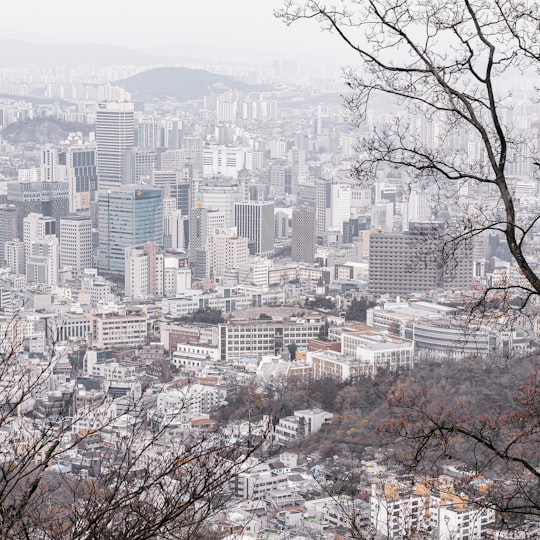 bare tree near city buildings during daytime in Namsan Tower South Korea